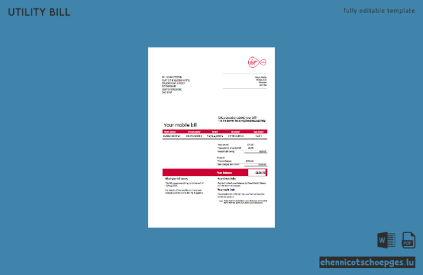 USA Virgin Media Stromrechnung Word-Version 2 Beispielvorschau